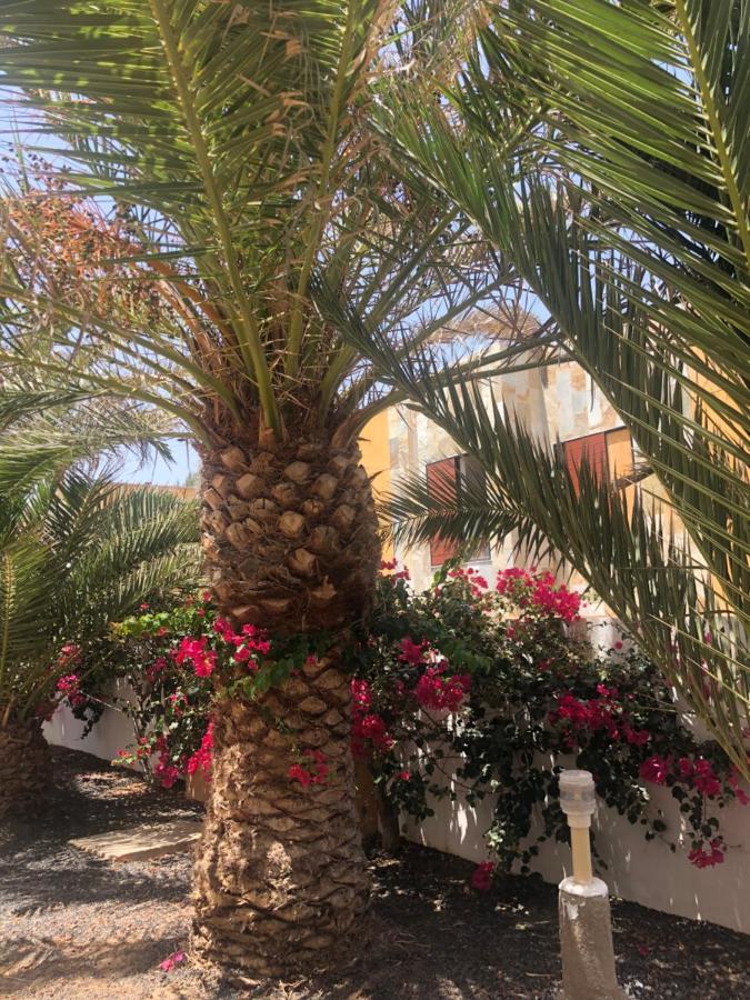 Apartamento Le Soleil De Fuerteventura Costa De Antigua Luaran gambar